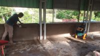 IMG-20251017-WA0066