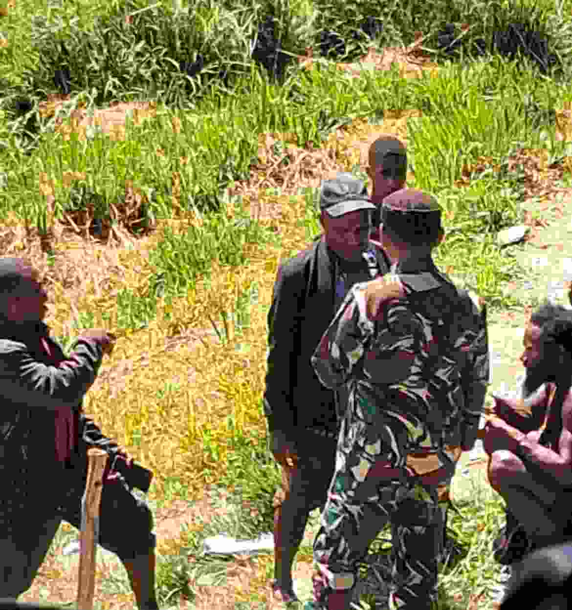 Warga Distrik Kembru Jadi Korban Penembakan TPNPB-OPM, TNI Siaga Berikan Perlindungan dan Bantu Evakuasi