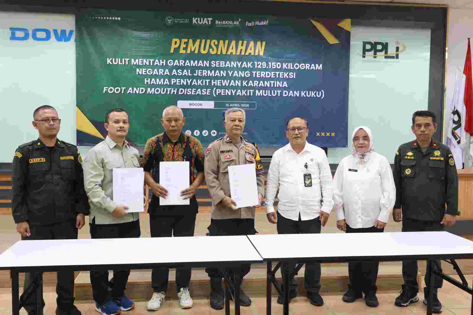 Jaga Ketahanan Pangan, Barantin Musnahkan 129 Ton Kulit Impor Positif PMK dan LSD