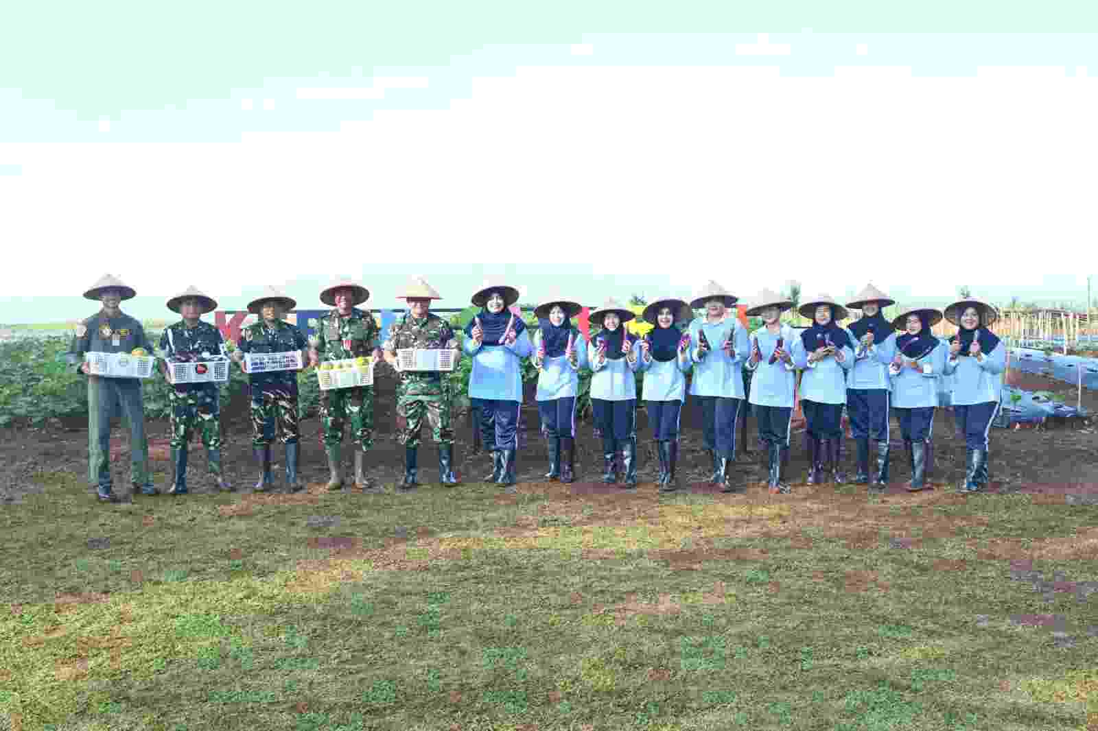 Wujud Nyata Dukung Ketahanan Pangan, Lanud Suryadi Suryadarma Panen Tanaman Holtikultura