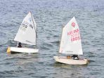 HARI KEDUA REGATTA SERIES I DAN KEJURNAS LAYAR 2026, TNI AL TERUS KAWAL KELANCARAN KEGIATAN