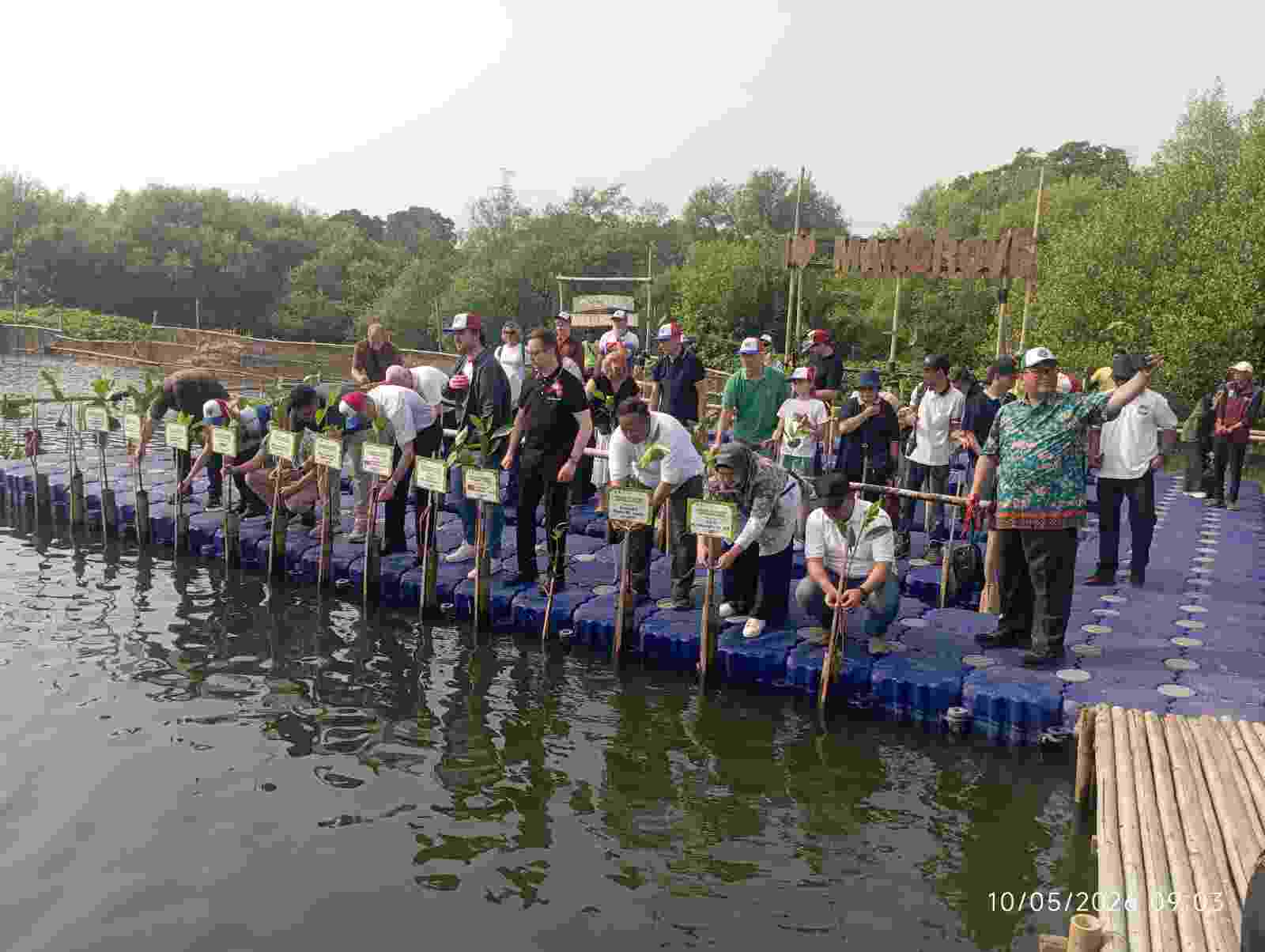 Diplomasi Hijau Warnai Peringatan Victory Day Rusia di Jakarta Utara, Ratusan Mangrove Ditanam di Hutan Lindung Angke Kapuk