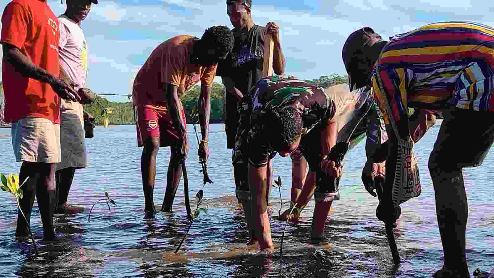 Bersatu Dengan Alam, Satgas TMMD Kodim 1710/Mimika Tanam Ribuan Bibit Mangrove