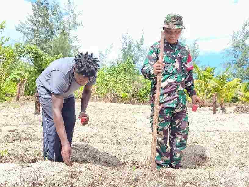 Manfaatkan Lahan Tidur, Satgas TMMD Ke-128 Kodim 1710/Mimika Tanam Jagung Bersama Warga
