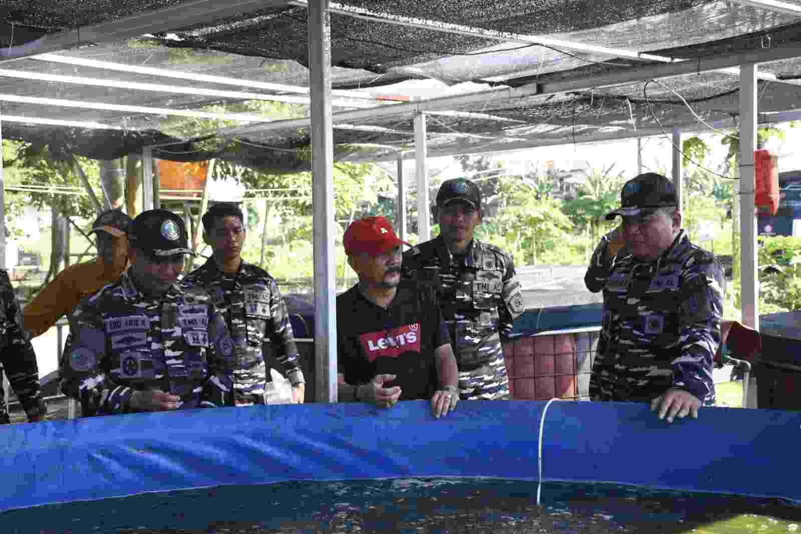 TNI AL Gelar Penanaman Bibit Kedelai di Kompi Produksi Lanal Banjarmasin Melalui Operasi Trisila 26, Perkuat Ketahanan Pangan