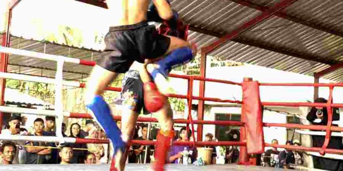 Atlet Denma Korpasgat Raih Tiga Medali di Kejurprov Jateng Open Surakarta 2026