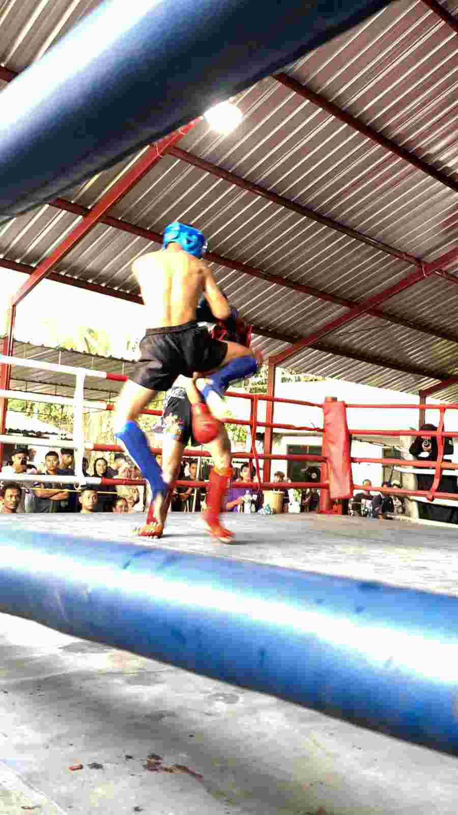 Atlet Denma Korpasgat Raih Tiga Medali di Kejurprov Jateng Open Surakarta 2026