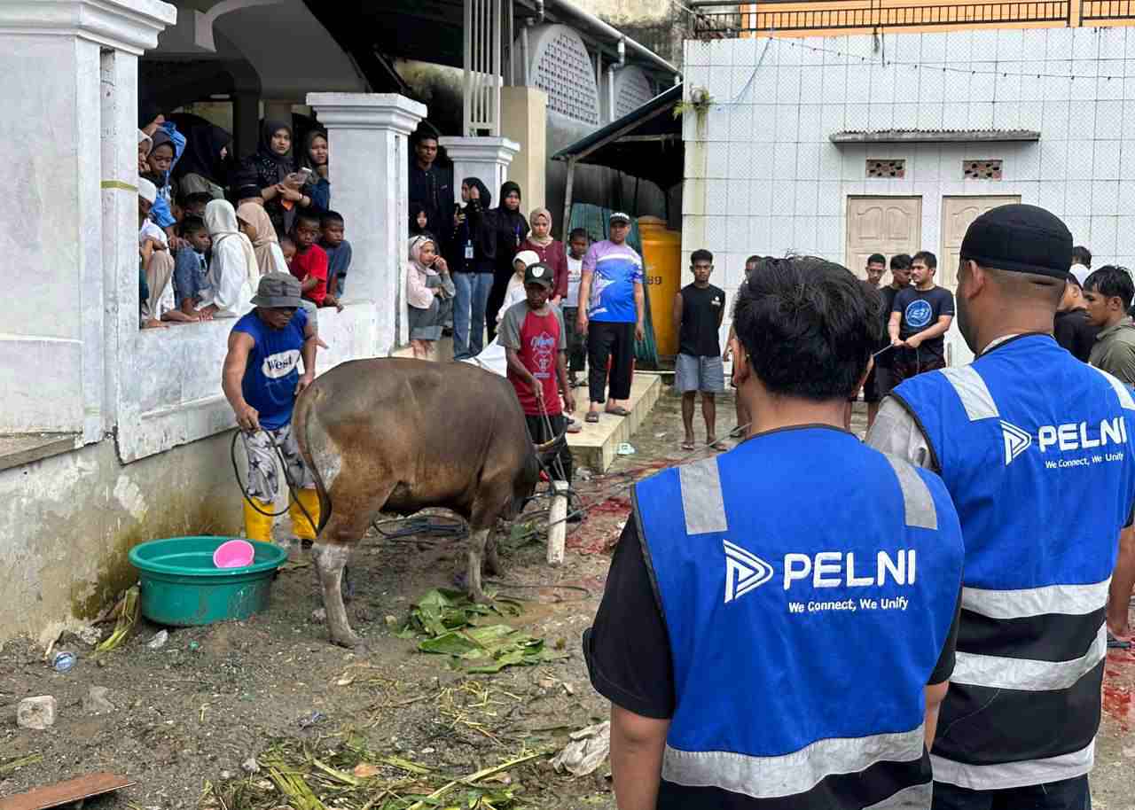 Hari Raya Iduladha, TJSL PELNI Salurkan Hewan Qurban di Sejumlah Wilayah Operasional