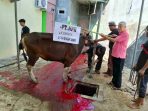 Yayasan Annas Salurkan Ratusan Paket Daging Kurban untuk Eks TKBM Pelabuhan Tanjung Priok