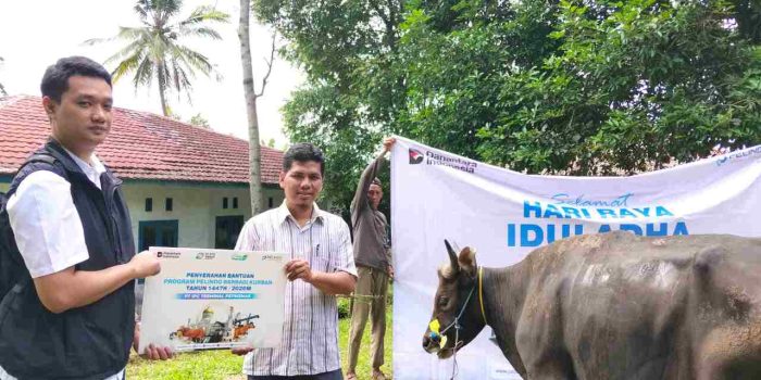 IPC TPK Tebar Kepedulian Iduladha, Salurkan 26 Hewan Kurban ke Berbagai Wilayah Operasional
