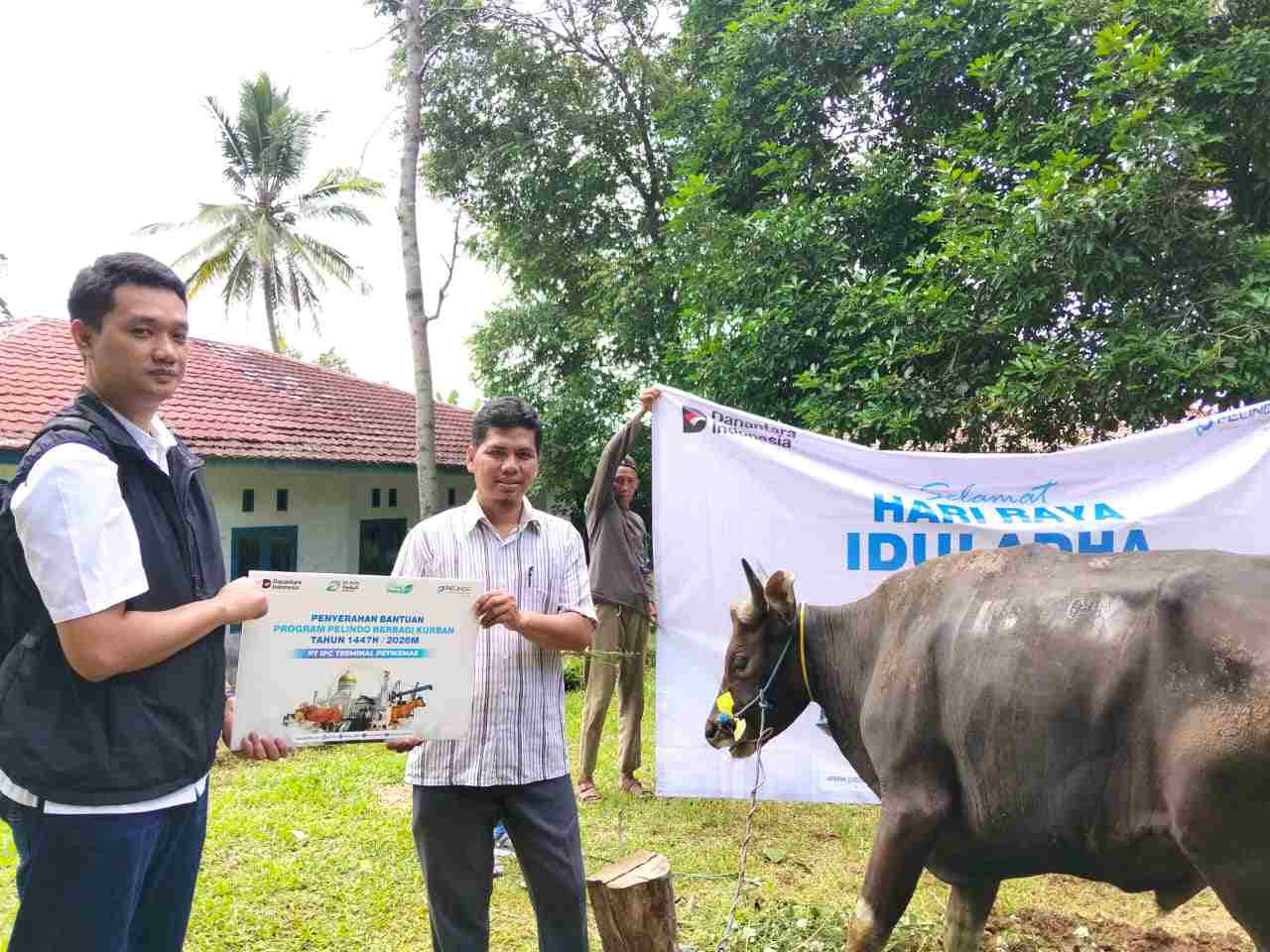 IPC TPK Tebar Kepedulian Iduladha, Salurkan 26 Hewan Kurban ke Berbagai Wilayah Operasional
