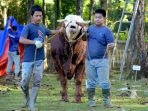Semangat Berbagi di Hari Raya Iduladha 1447 H, Mabesau Laksanakan Pemotongan dan Penyaluran Hewan Kurban Semangat Berbagi di Hari Raya Iduladha 1447 H, Mabesau Laksanakan Pemotongan dan Penyaluran Hewan Kurban