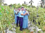 Optimalkan Lahan Tidur untuk Ketahanan Pangan, Lanud Sri Mulyono Herlambang Panen Melon Merlin
