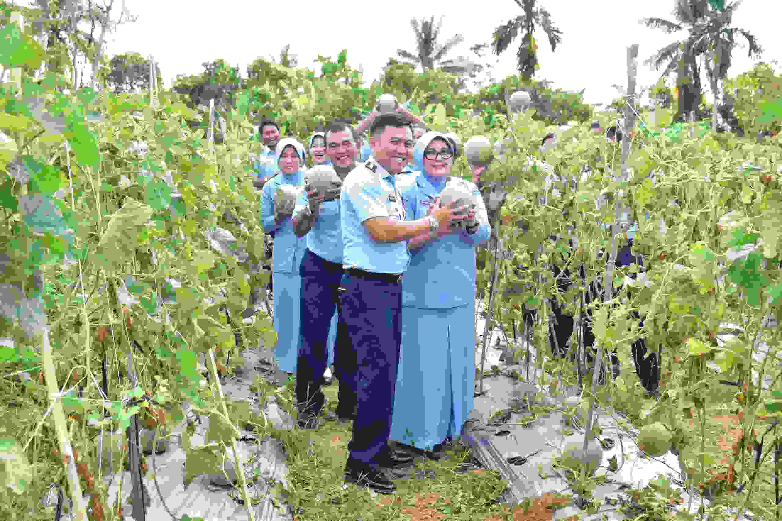 Optimalkan Lahan Tidur untuk Ketahanan Pangan, Lanud Sri Mulyono Herlambang Panen Melon Merlin