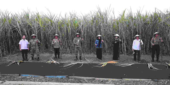 Lanud Muljono Dukung Penguatan Swasembada Gula Nasional melalui Panen Raya Tebu